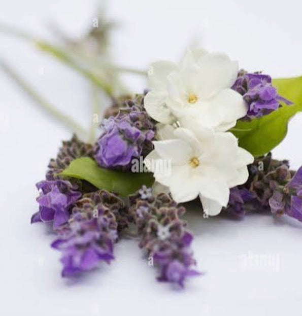 Lavande & Jasmin 12 onces - 500 ml