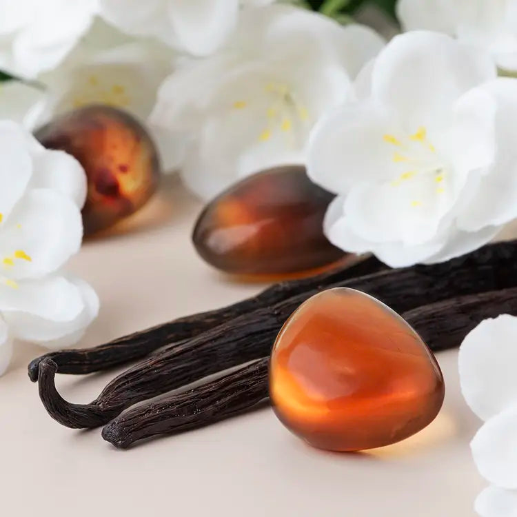 Vanille Ambrée 12 onces - 500 ml