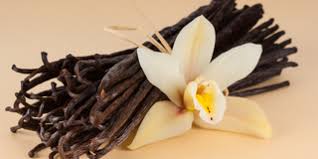 Vanille Pure 12 onces - 500 ml